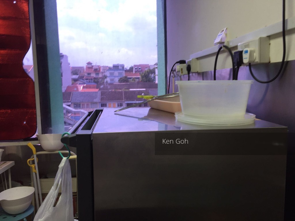 Bukit Timah Shopping Centre (D21), Retail #139948222